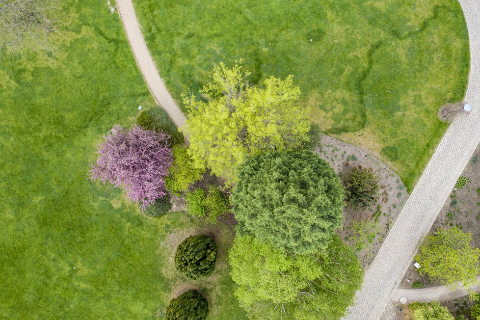 Takovéto pohledy na trojskou botanickou zahradu si vychutnávají leda ptáci.