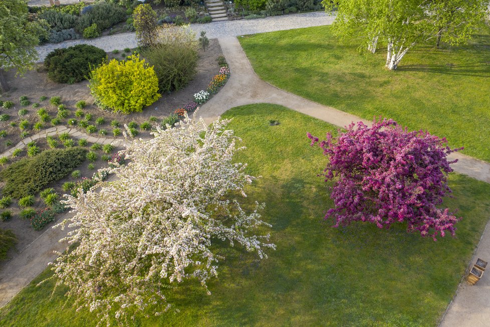 Botanická zahrada Troja: Tyhle krásy bude mít nový majitel takřka za humny.