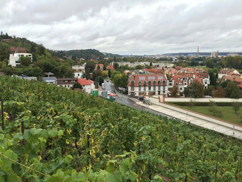 Výhled na Prahu z terasy vinotéky.