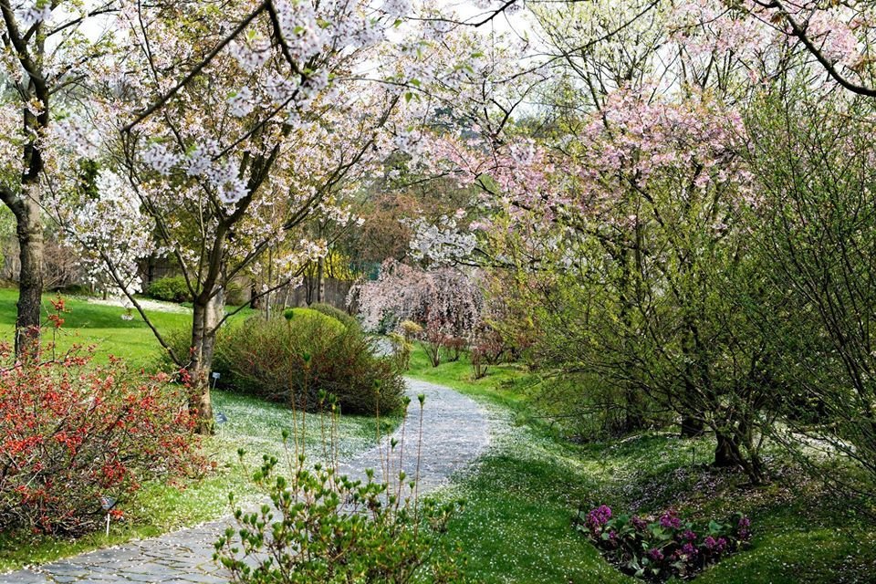 Rozkvetlá botanická zahrada od 20. dubna znovu přivítá návštěvníky