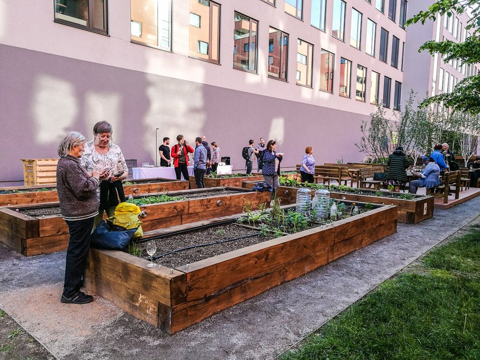 U vzdělávacího centra Přístav 7 vznikla v minulých letech komunitní zahrada. Nyní ji chce Nadační fond Agora 7 rozšířit. Peníze na stavbu chce vybrat vybrat pomocí crowdfundingové kampaně.