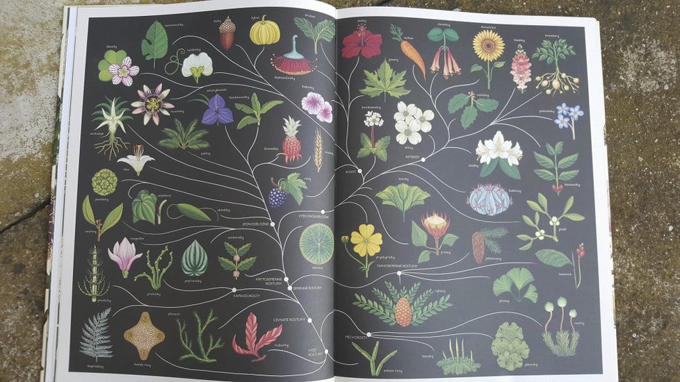 Ukázky z knihy Botanicum