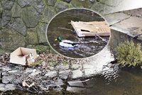 Z potoka Botič se stává skládka: Pražané ho po uklizení zanesou nepořádkem během pár hodin