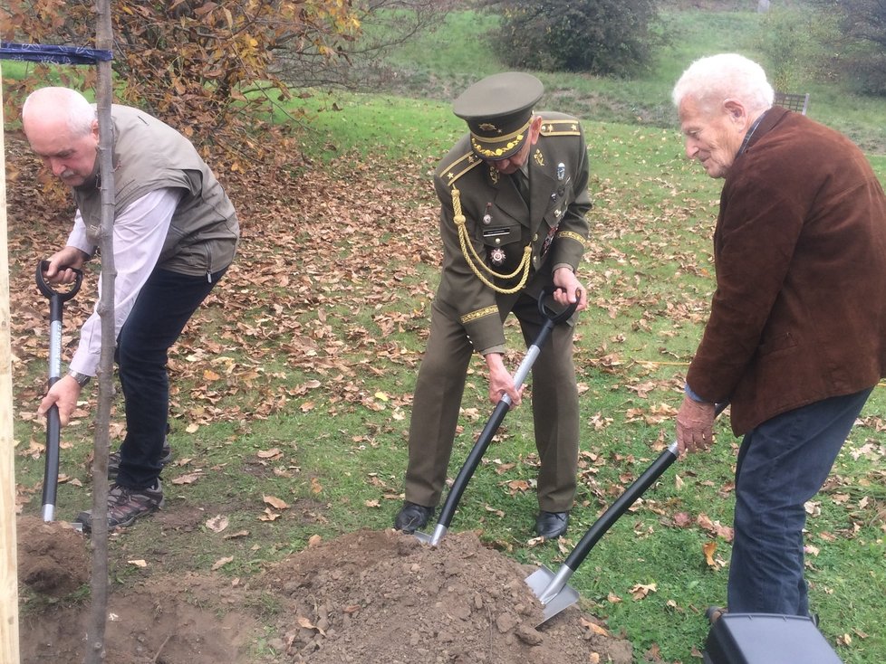 Lípu malolistou vysázeli v botanické zahradě v Troji váleční veteráni, zleva Josef Skalka, Václav Kuchynka a Tomáš Lom.