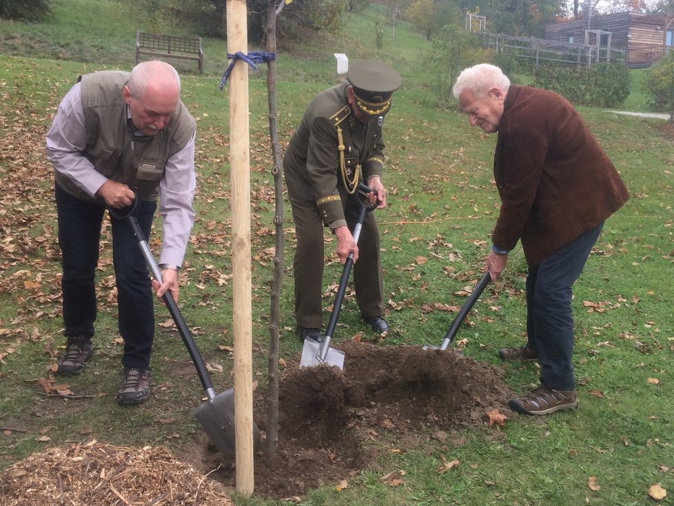 Lípu malolistou vysázeli v botanické zahradě v Troji váleční veteráni, zleva Josef Skalka, Václav Kuchynka a Tomáš Lom.