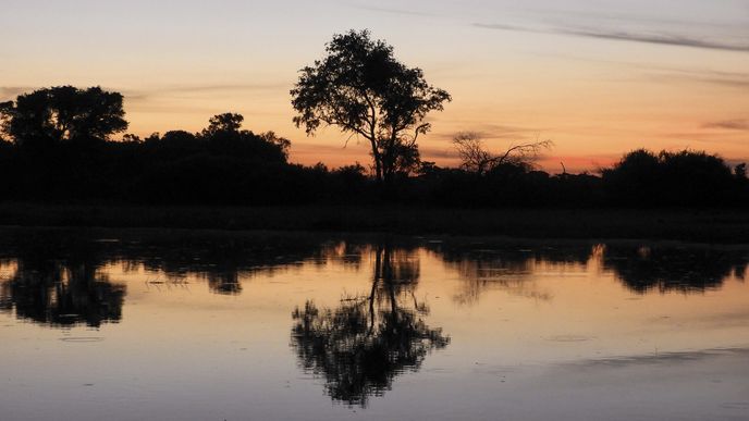 řeka Okavango v Botswaně