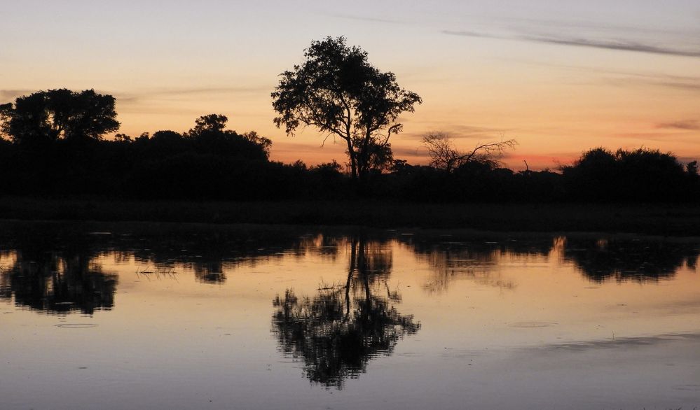 Takhle to vypadá v deltě řeky Okavango v Botswaně