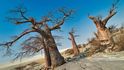 Botswana: Národní park Makgadikgadi Pans