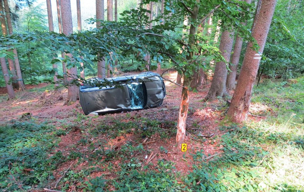 Řidič havaroval na polní cestě a s vozem skončil opřený o strom.