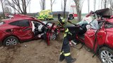 Panička (59) na Hradecku zrušila krásné fáro! V jaguaru bourala se svým pejskem