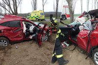 Panička (59) na Hradecku zrušila krásné fáro! V jaguaru bourala se svým pejskem