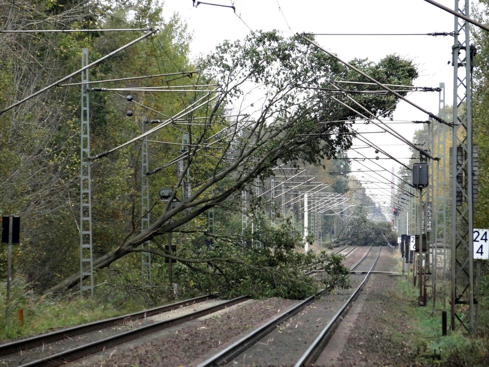 Řádění superbouře na západu Evropy: Železniční dopravu na řadě míst ochromily popadané stromy