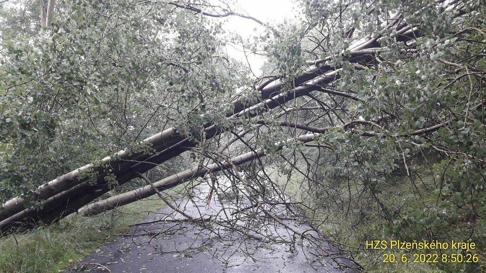 Bouře na Domažlicku poničila střechy a lámala stromy.