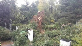 Odstraňování škod po nedělní bouři Fabienne v Pardubickém kraji (24. 9. 2018)