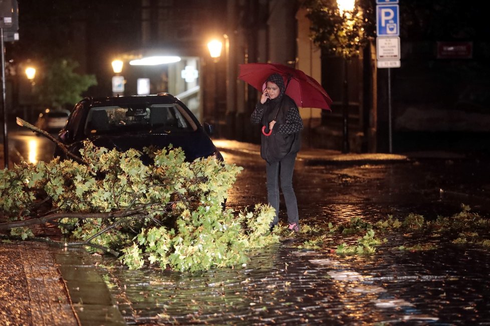 Českem se prohnala bouře Fabienne (24.9.2018).