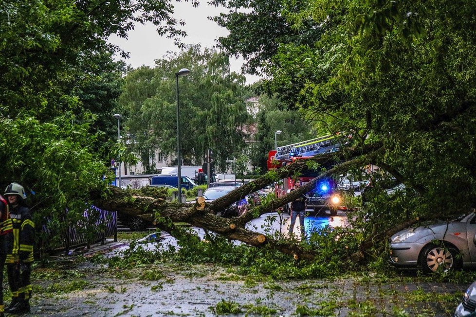 Bouře v Německu polámaly stromy a způsobily lokální záplavy. Zranily se desítky lidí. (12. června 12019)