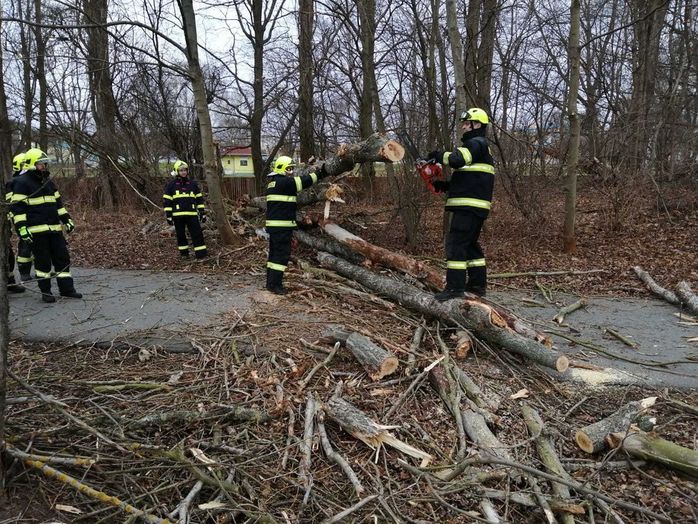 Silná bouře v Česku: Hasiči v Pardubicích řešili popadané stromy i zablokované silnice (19.2.2022)