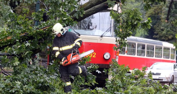 Bouře, která do Česka dorazila ze Švýcarska, lámala stromy