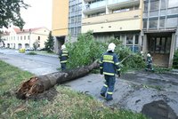 Ničivá bouře: Blesk zasáhl dva chlapce! Počasí také zabíjelo!