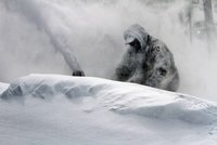 Česko zasype sníh: Napadne až 30 cm, teplota klesne k minus 10!