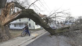 Bouře na severovýchodě USA přinesla záplavy, láme stromy a zabíjí