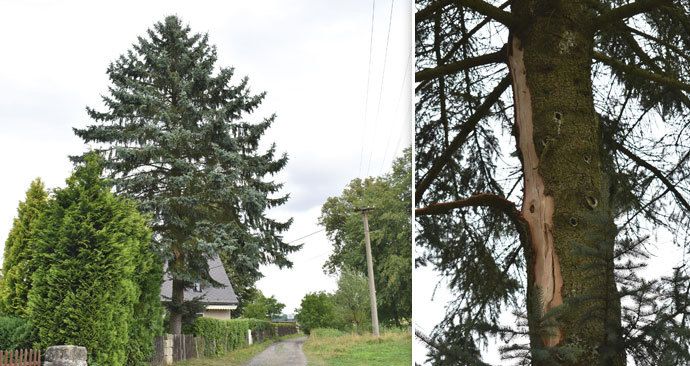 Tragédie na Děčínsku: Tady zemřela máma tří dětí při bouřce!