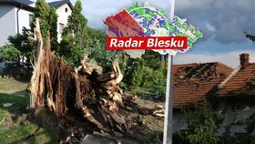 Větrná smršť na Novojičínsku: Bouřka lámala stromy a ničila domy. Sledujte radar Blesku