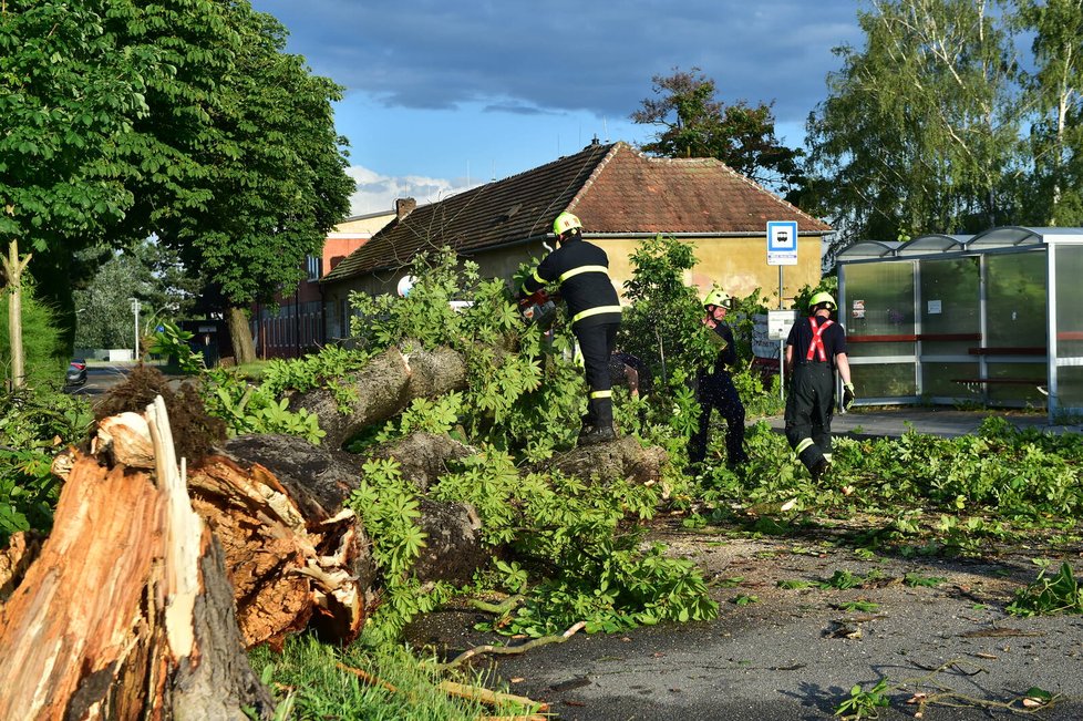 Břeclaví se prohnala bouřka, lámala stromy (13.6.2022)