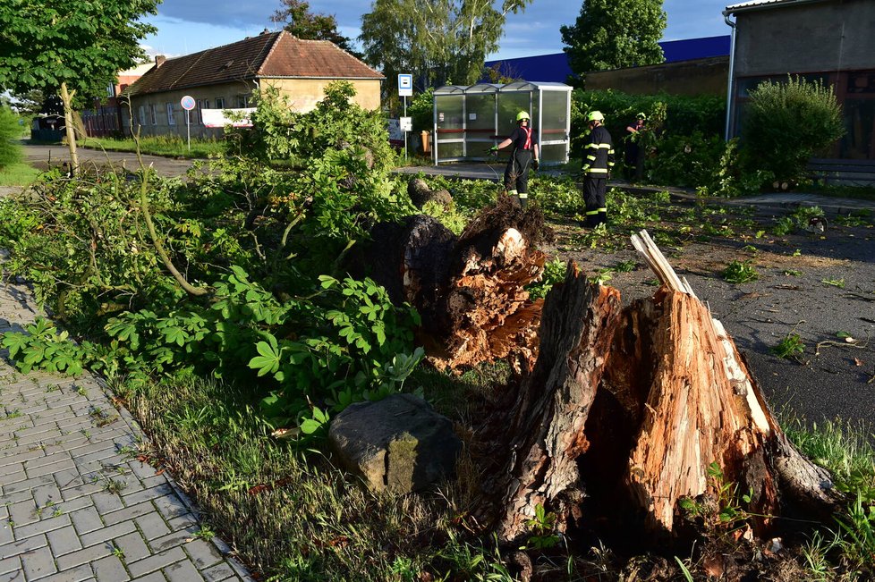 Břeclaví se prohnala bouřka, lámala stromy (13.6.2022)