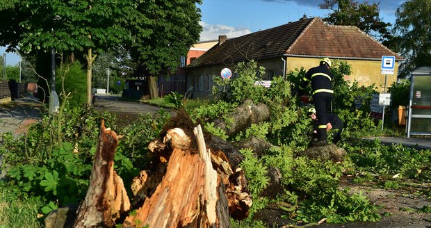 Břeclaví se prohnala bouřka, lámala stromy (13.6.2022)