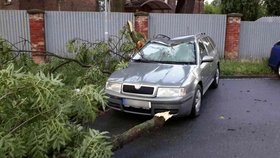 Olomouckým krajem se přehnaly bouřky: Hasiči vyjížděli k popadaným stromům.