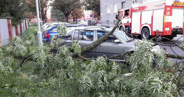 Olomouckým krajem se přehnaly bouřky: Hasiči vyjížděli k popadaným stromům.