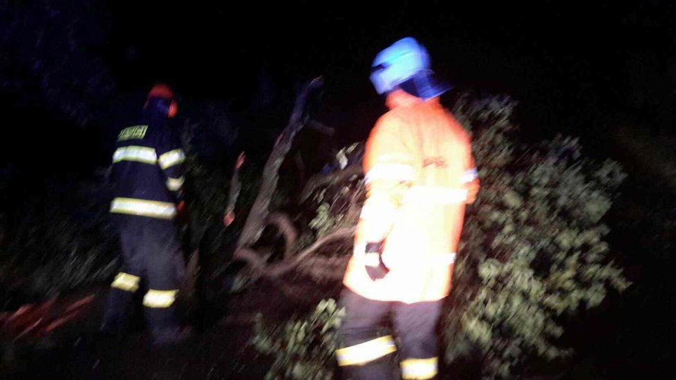 Olomouckým krajem se přehnaly bouřky: Hasiči vyjížděli k popadaným stromům.