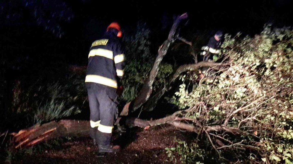 Olomouckým krajem se přehnaly bouřky: Hasiči vyjížděli k popadaným stromům.