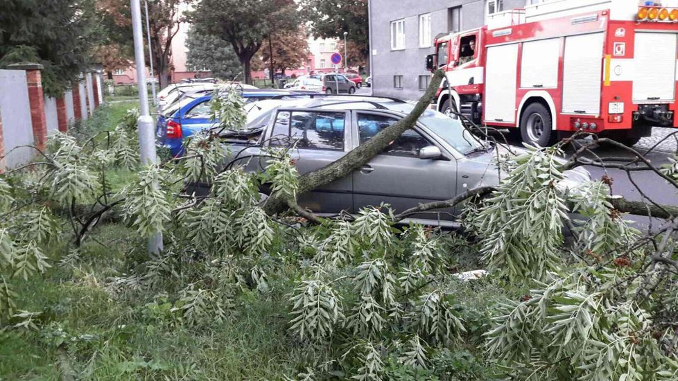 Olomouckým krajem se loni přehnaly bouřky: Hasiči vyjížděli k popadaným stromům