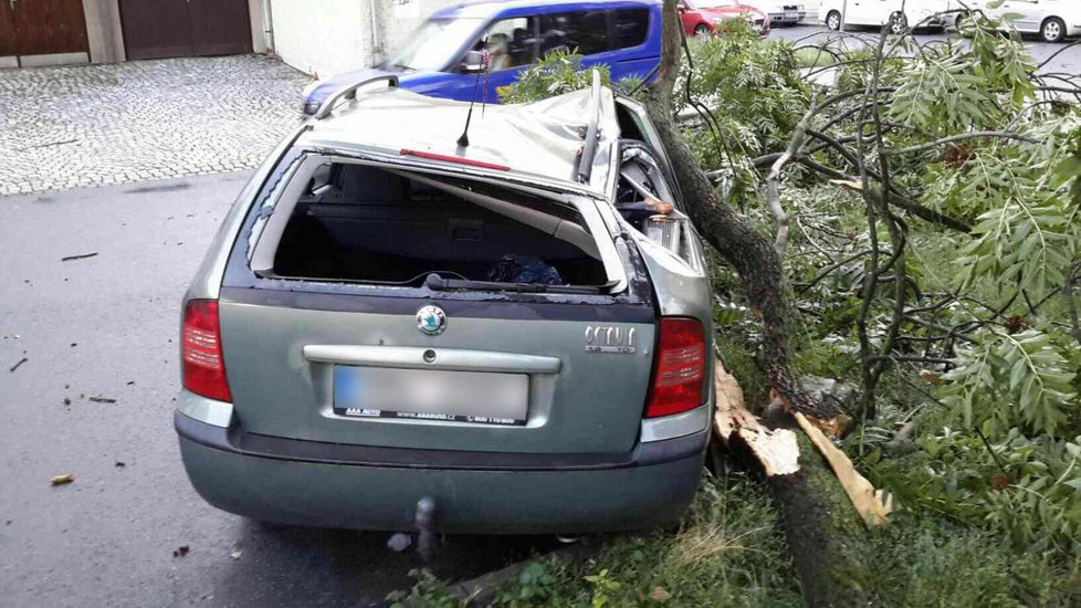 Olomouckým krajem se přehnaly bouřky: Hasiči vyjížděli k popadaným stromům.