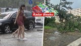 Českem se znovu prohání bouřky s lijáky. Stromy spadly na auta i chaty. Sledujte radar Blesku
