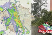 Přes Česko postupuje pás bouřek. Déšť nás čeká i příští týden, sledujte radar Blesku