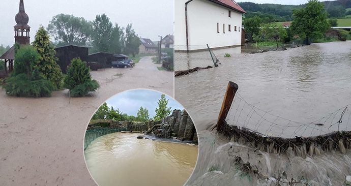 Nedělní bouřky a přívalové deště v Česku vydatně zasáhly třeba obec Počítky nebo bazén lachtanů v Zoo Praha