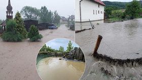 Nedělní bouřky a přívalové deště v Česku vydatně zasáhly třeba obec Počítky nebo bazén lachtanů v Zoo Praha.