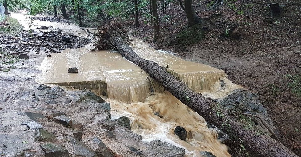 Bouřky se prohnaly Olomouckem (6. 8. 2019)