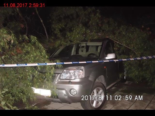 Čtyři zaparkovaná auta poškodil strom ve vnitrobloku u Čapkovy ulice v Brně.