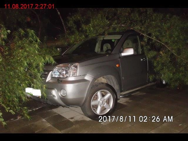 Čtyři zaparkovaná auta poškodil strom ve vnitrobloku u Čapkovy ulice v Brně.