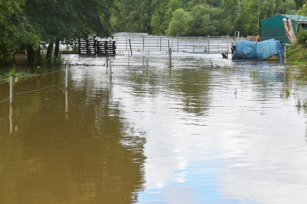 Bouřky a intenzivní déšť zvedly hladinu řeky Úslavy v plzeňské části Koterov.