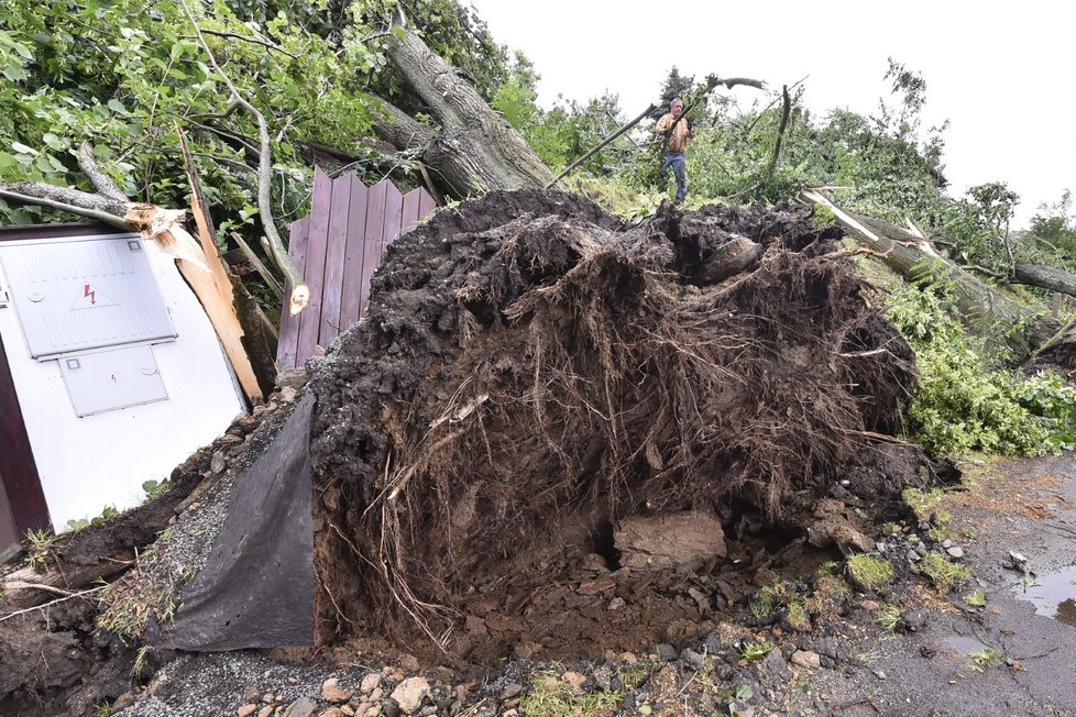 Silná bouře v noci na 9. července 2021 polámala vzrostlé stromy nedaleko rybníka Cihlář v Havlíčkově Brodě.