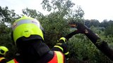 Bouřky v Česku: Na jihu Čech zranila větev muže ve stanu. Na Moravě hrozí ještě dnes, sledujte radar