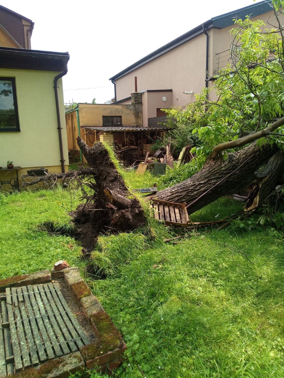 Prahou se 13. června 2020 přehnala bouřka s přívalovým deštěm. V Braníku spadl podmáčený strom na fasádu domu.