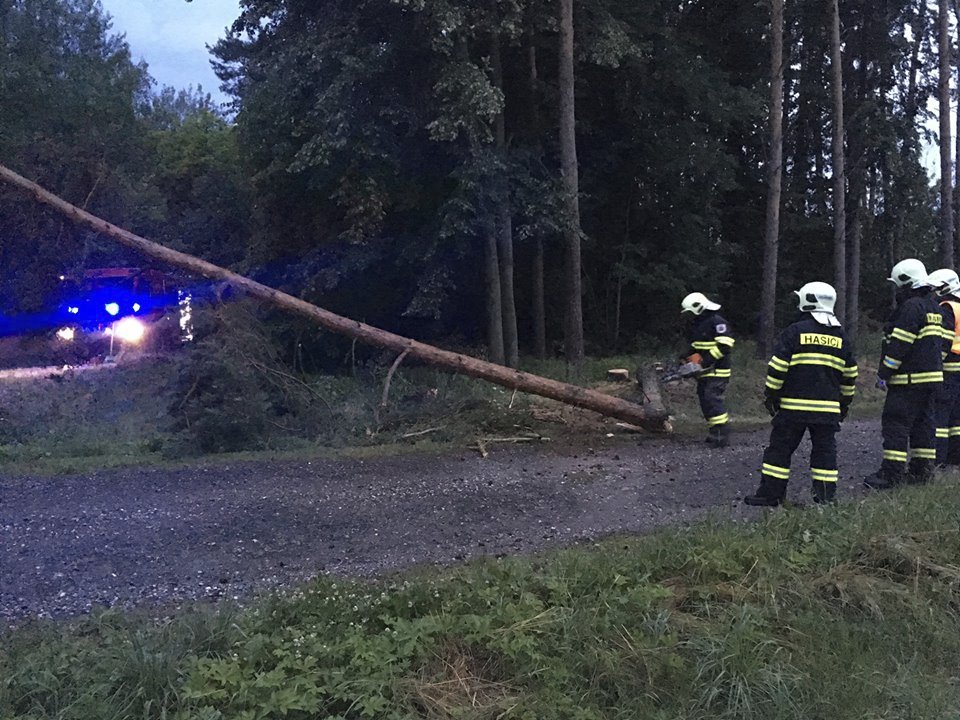 Hasiči odklízeli ráno popadané stromy na Pardubicku.