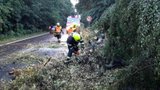 60 výjezdů kvůli bouřce na jihu Moravy: Stromy na silnici i obří laguna