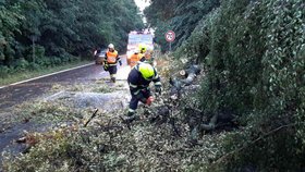 Téměř 60 výjezdů měli dnes od ranních hodin kvůli odstraňování následků bouřek jihomoravští hasiči.